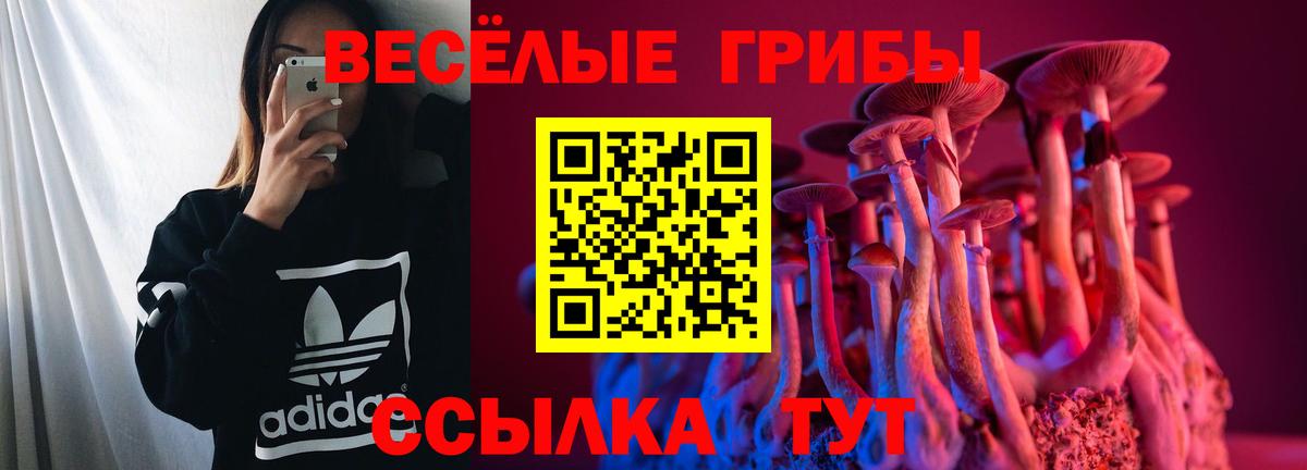 Псилоцибиновые грибы Psilocybine cubensis  Галлюциногенные грибы Psilocybe  Вязники  Вход с VPN 
